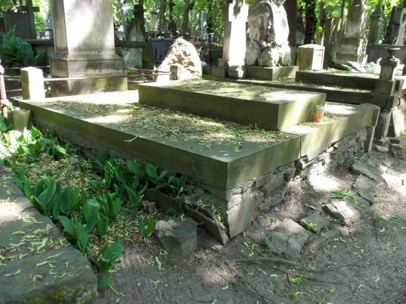 Zdjęcie grobu Julia Maria Brochocka (1)