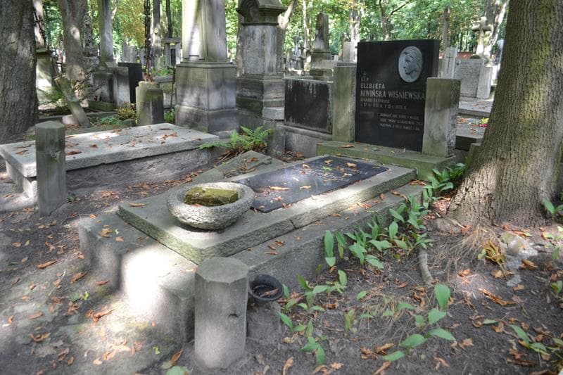 Zdjęcie grobu: Zofia Niwińska