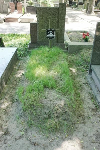 Zdjęcie grobu Otylia Choraszewska (1)