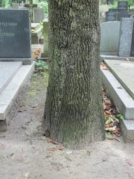 Zdjęcie grobu: Pole Grobowe