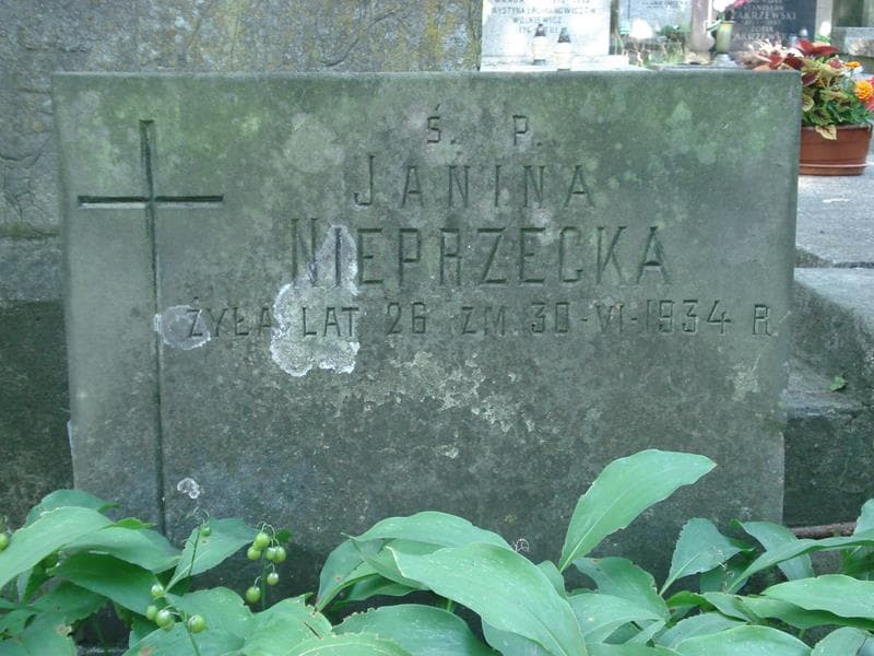 Zdjęcie grobu Feliksa Władysława Nieprzecka (1)