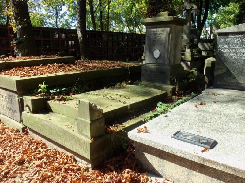 Zdjęcie grobu Marja Wachowicz (1)