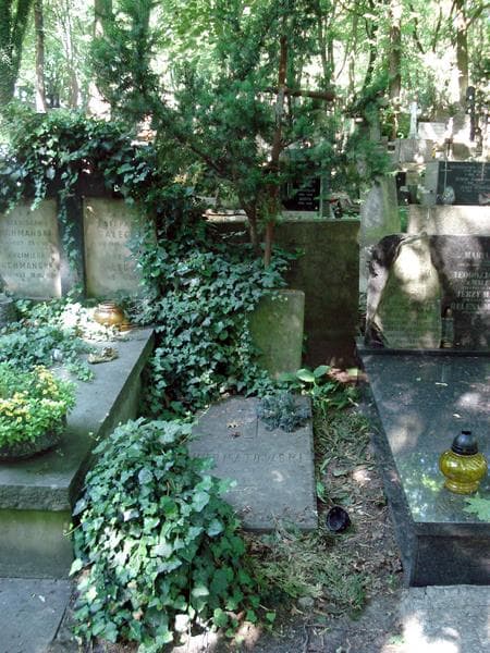 Zdjęcie grobu: Wacław Kurnatowski