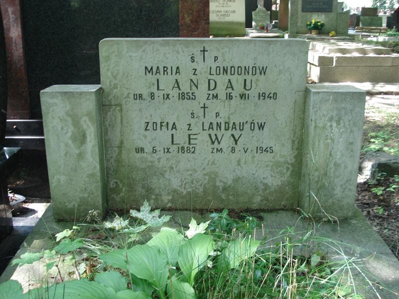 Zdjęcie grobu Maria Landau (2)