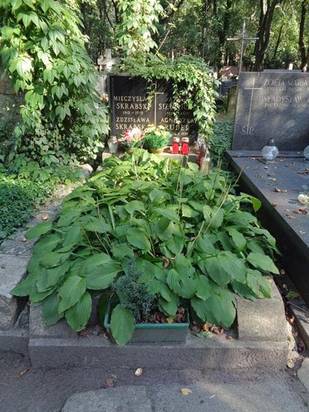 Zdjęcie grobu Agnieszka Ruder (1)