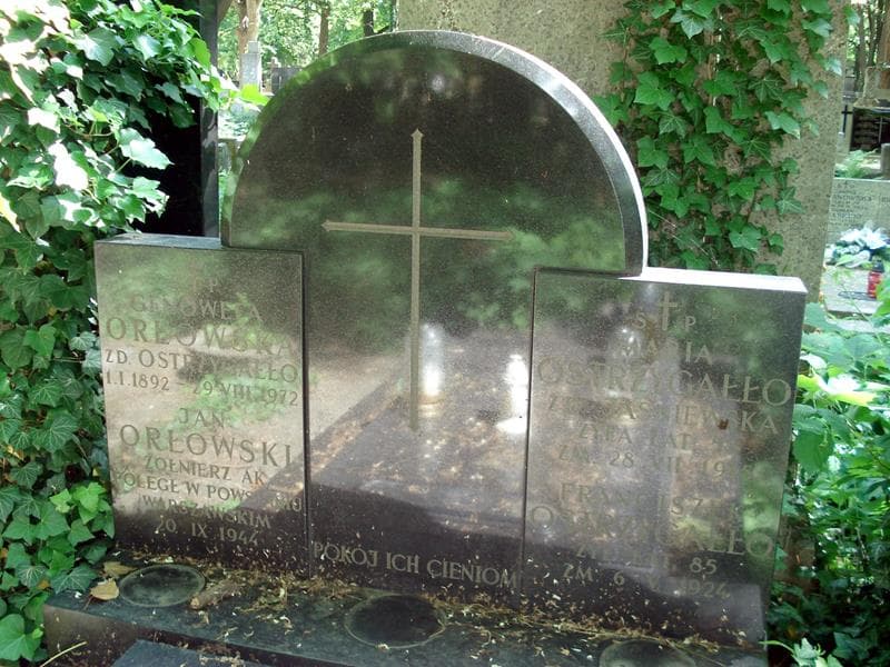 Zdjęcie grobu Franciszek Ostrzygałło (1)