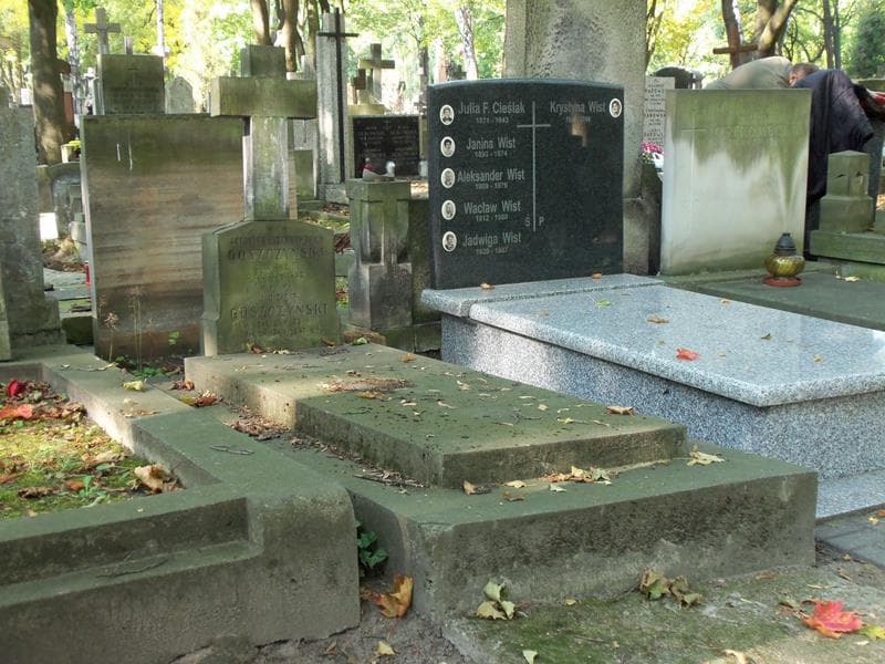 Zdjęcie grobu Józef Goszczyński (1)
