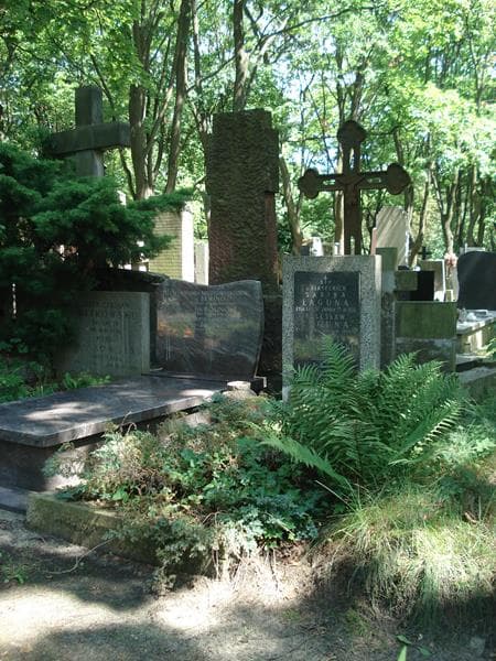 Zdjęcie grobu Krzysio Stępniewski (1)