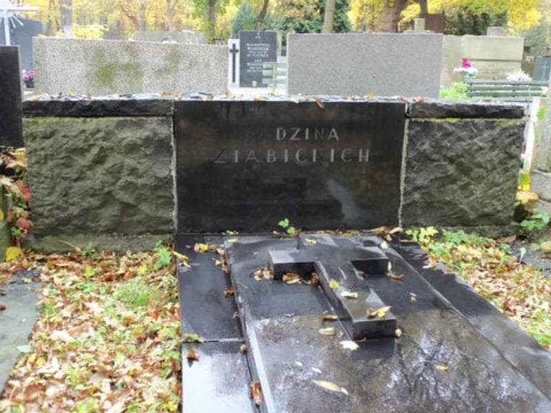 Zdjęcie grobu Ziabiccy (2)