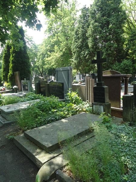 Zdjęcie grobu Maria Lubomirska (1)