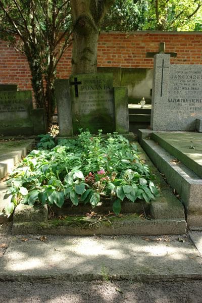 Zdjęcie grobu: Marian Ponanta