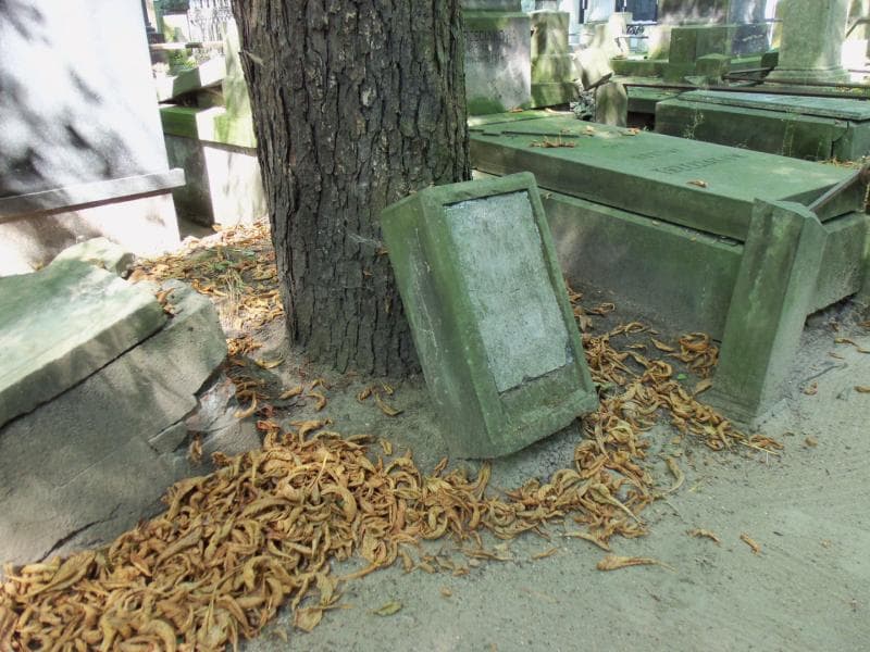 Zdjęcie grobu Dyonizy Lanckoroński (1)