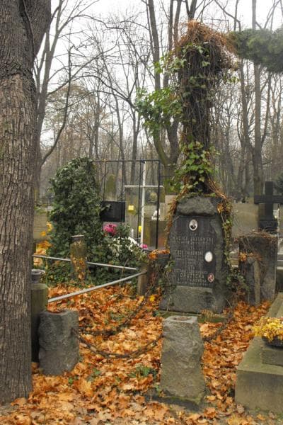 Zdjęcie grobu: Stefania Drużycka