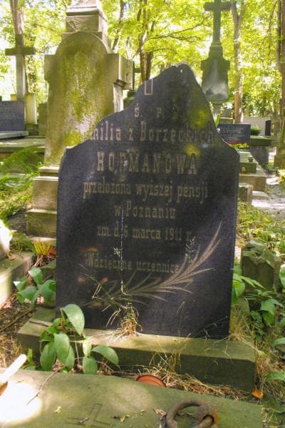 Zdjęcie grobu Hofmanowa (1)