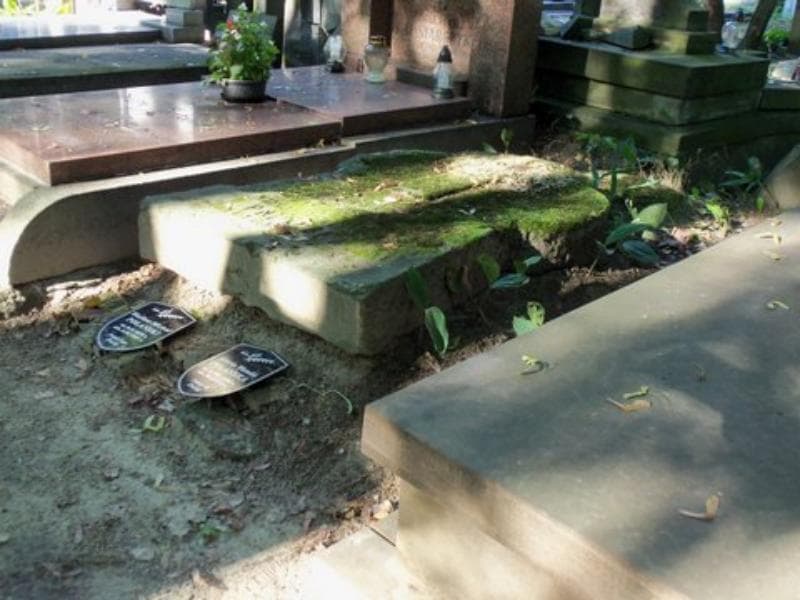 Zdjęcie grobu Maria Wanda Polańska (2)