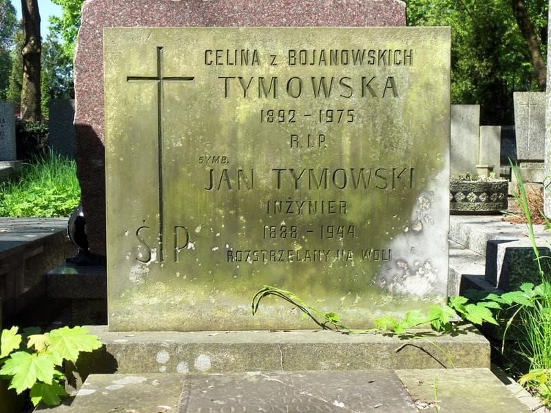 Zdjęcie grobu Zofia Bojanowska (2)
