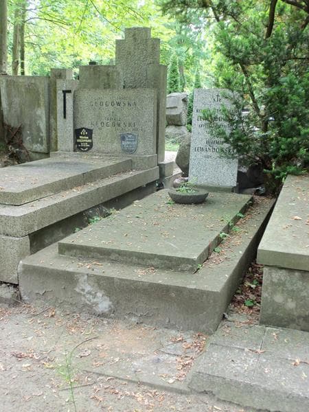 Zdjęcie grobu Roman Stanisław Lewandowski (1)