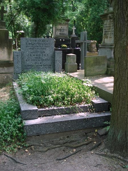 Zdjęcie grobu Stefan Henryk Chrystowski (1)