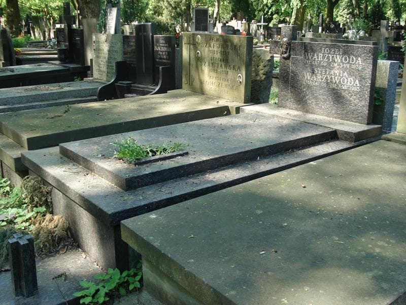 Zdjęcie grobu: Stefania Warzywoda