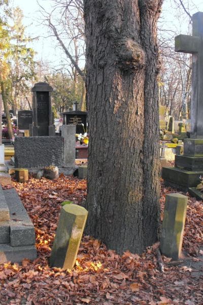 Zdjęcie grobu: Anonim