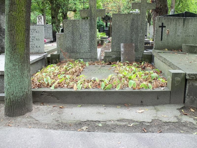 Zdjęcie grobu: Józefa Herbstowa