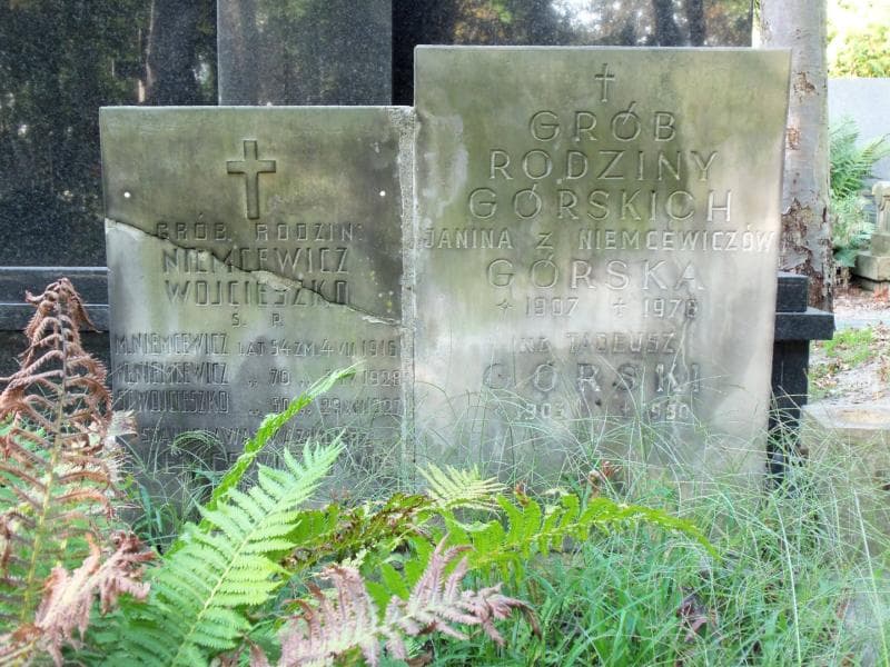 Zdjęcie grobu Janina Górska (2)