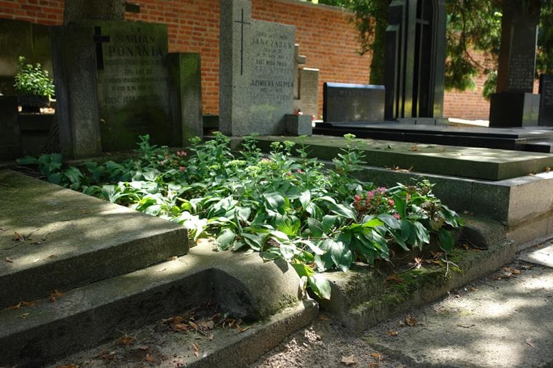 Zdjęcie grobu Marian Ponanta (1)