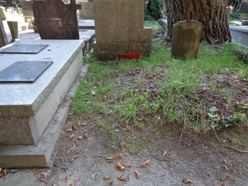 Zdjęcie grobu: Pole Grobowe