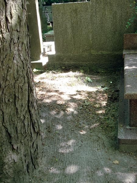 Zdjęcie grobu: Pole Grobowe