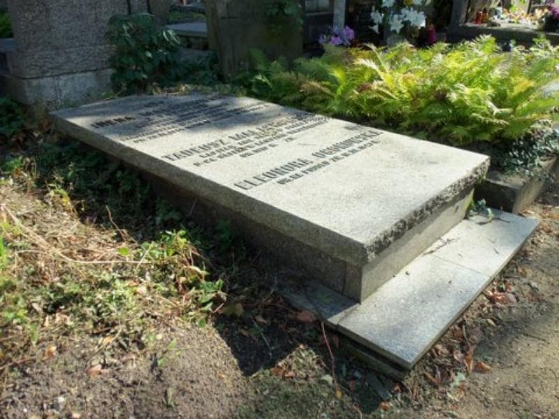 Zdjęcie grobu Eleonora Ogonowska (1)