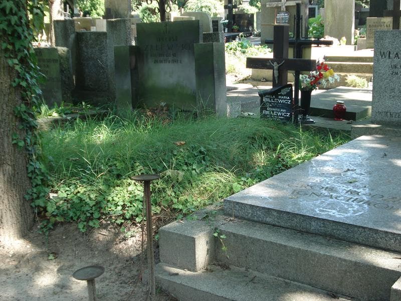 Zdjęcie grobu Aniela Maria Billewicz (1)