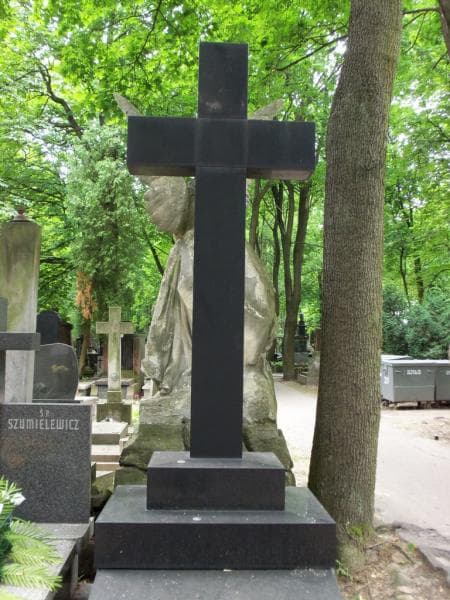 Zdjęcie grobu Aleksander Krzycki (2)