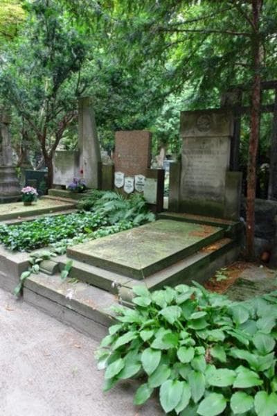 Zdjęcie grobu Wacław Wasilewski (1)