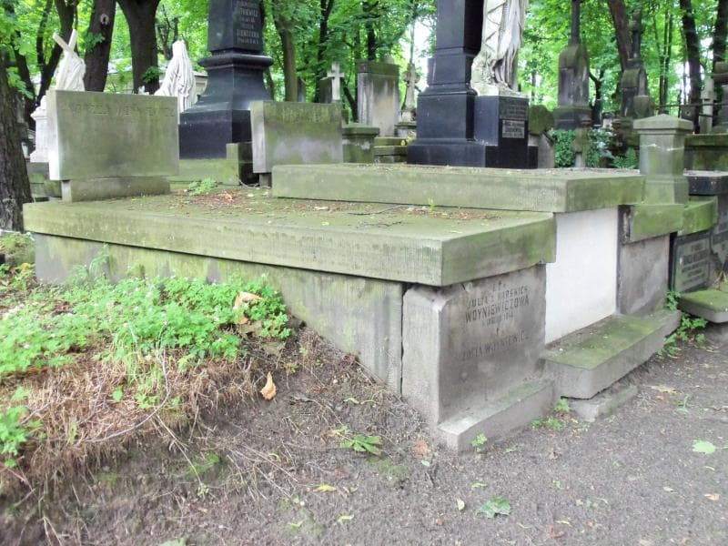 Zdjęcie grobu Ludwik Wojciech Woyniewicz (1)