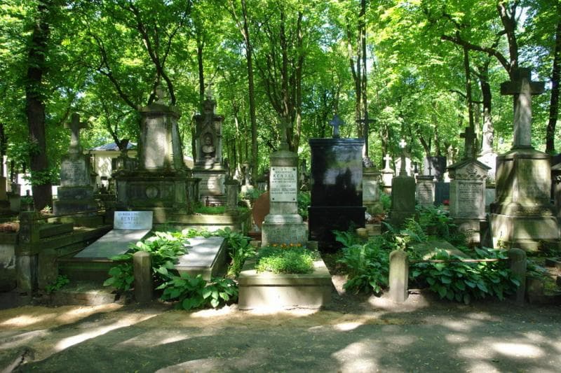 Zdjęcie grobu Anna Temler (1)