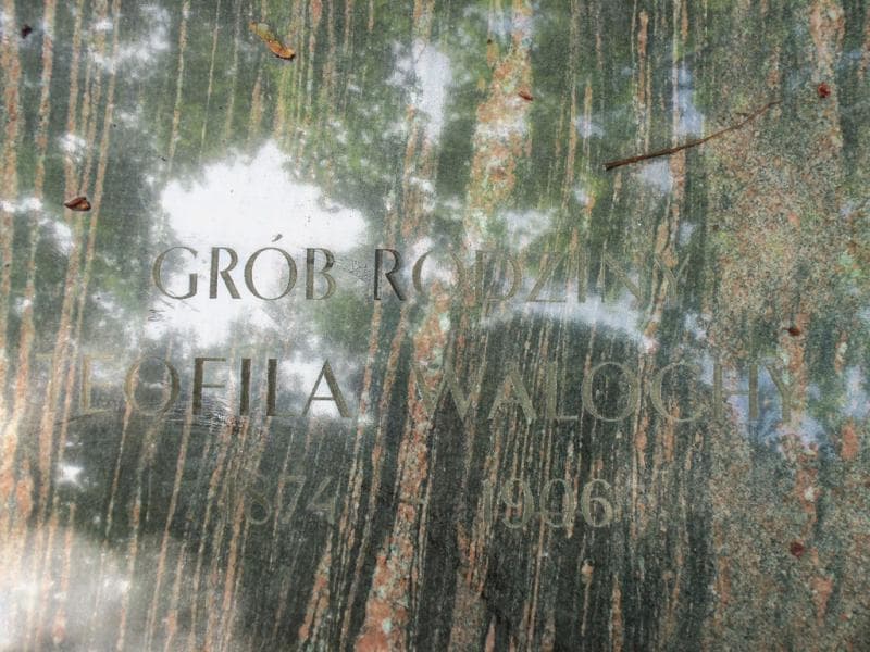 Zdjęcie grobu Teofil Walocha (2)