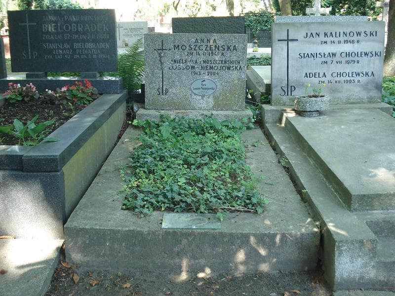 Zdjęcie grobu Maria Lossow-Niemojewska (1)