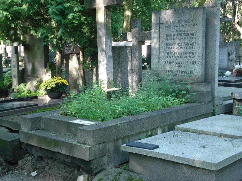 Zdjęcie grobu Henryk Przetakiewicz (1)