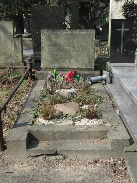 Zdjęcie grobu: Elzbieta Dzierżanowska