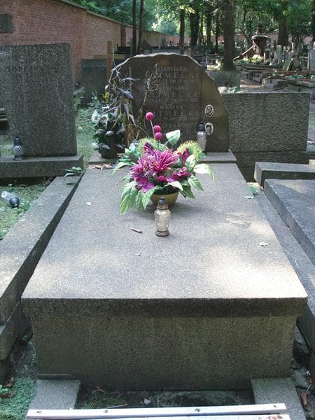 Zdjęcie grobu Bronisława Klimecka (1)