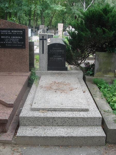 Zdjęcie grobu: Stanisława Szczechowicz