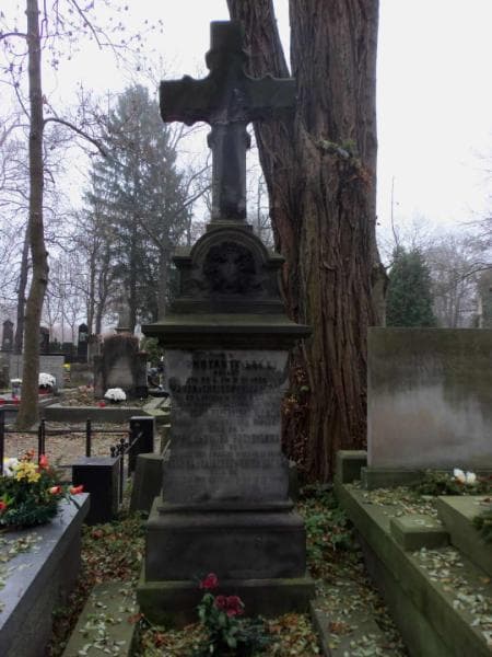 Zdjęcie grobu Zofia Przybylska (1)