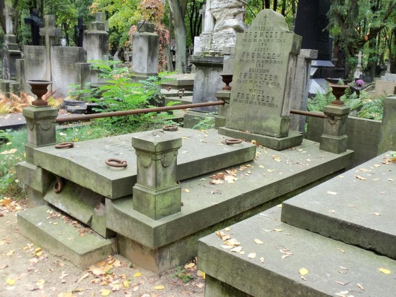 Zdjęcie grobu Bolesław Fronczek (1)