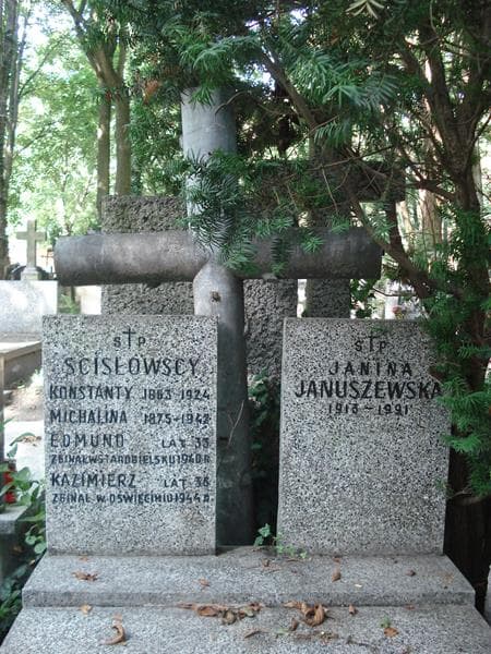 Zdjęcie grobu Janina Januszewska (2)