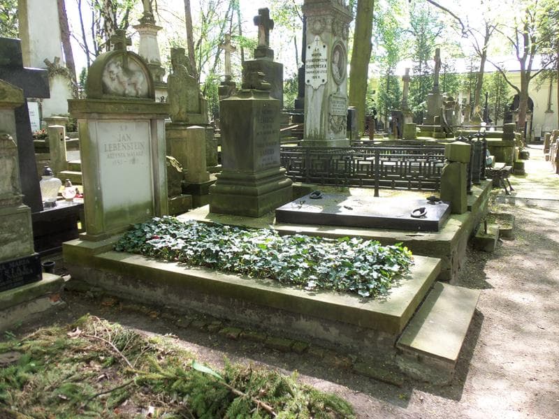 Zdjęcie grobu Jan Lebenstein (1)