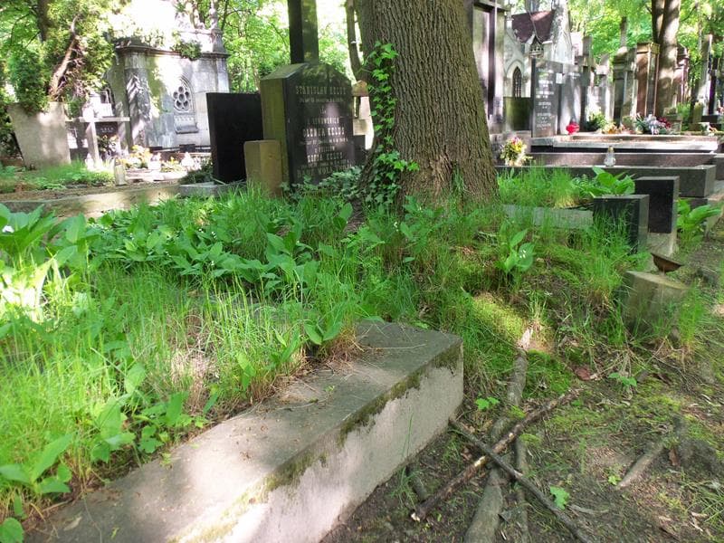 Zdjęcie grobu Anonim (1)