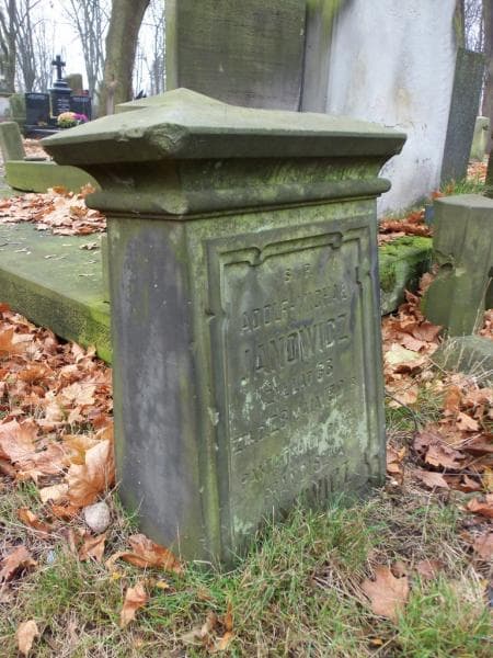 Zdjęcie grobu Adolf - Michał Janowicz (2)