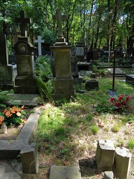Zdjęcie grobu Ignacy Dworzyński (1)