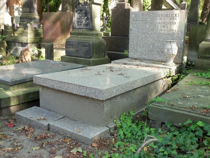 Zdjęcie grobu Aniela Budkowa (1)