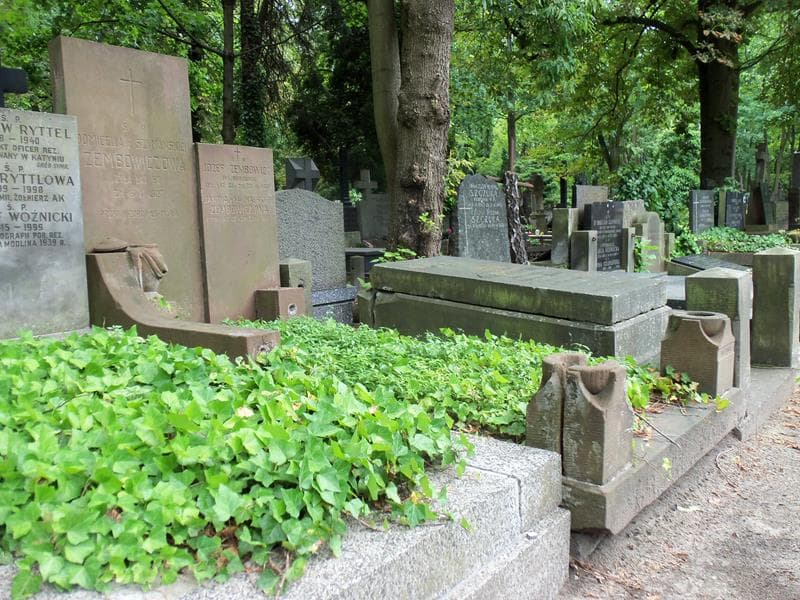 Zdjęcie grobu Józef Zembowicz (1)